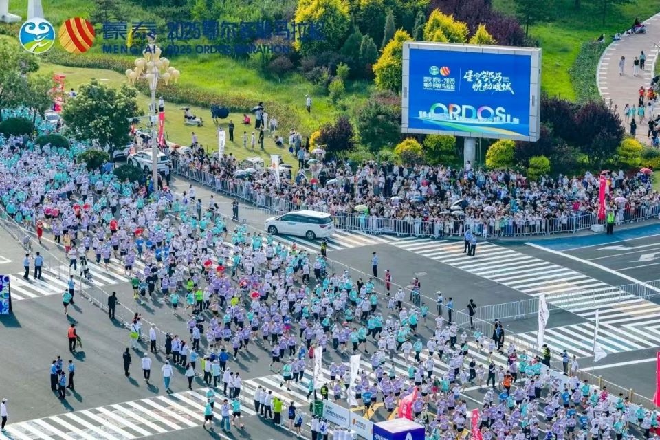 Ifcm, 个项目