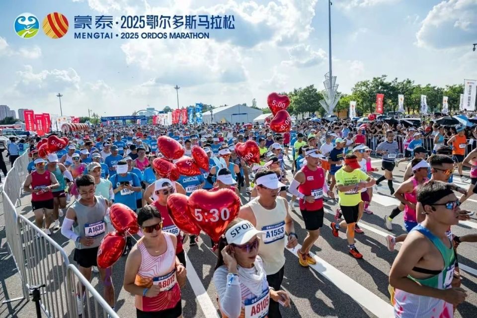 力与活力, om