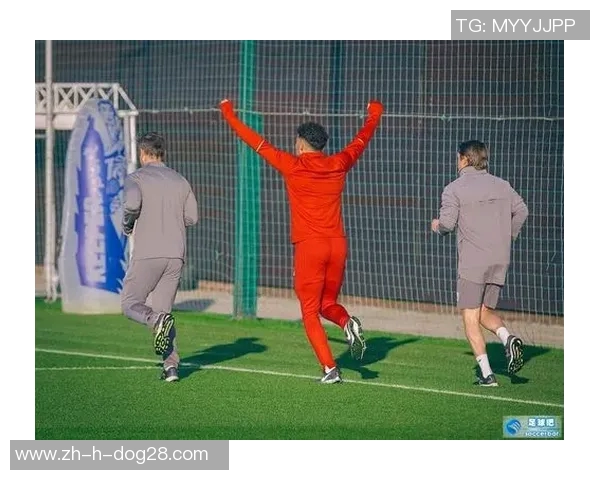 现役意大利足球球星的荣耀征程与绿茵舞台上的璀璨时刻